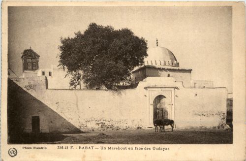 Rabat