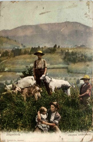 Ziergenhirte - Goat