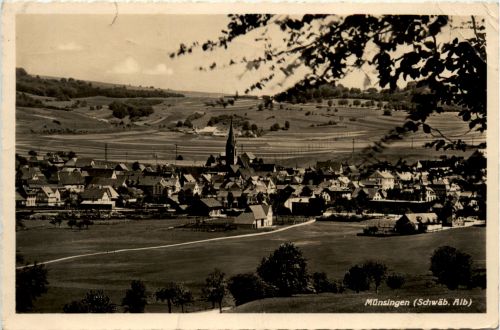 Münsingen,