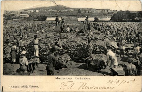 Uruquay - Montevideo - Un Saladero