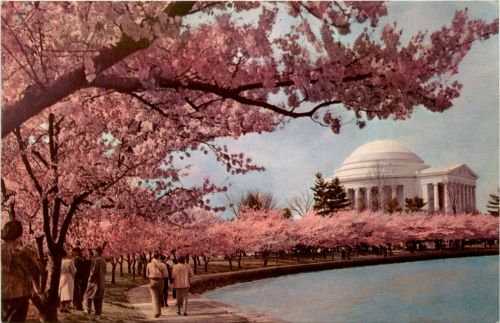 Washington DC