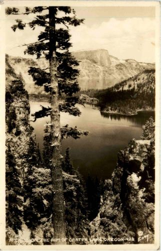 Oregon - Crater Lake