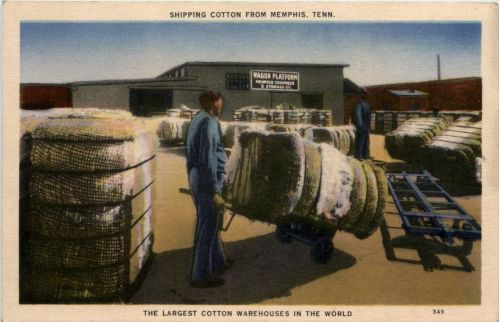 Memphis - Shiping Cotton