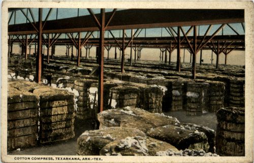 Texarkana - Cotton Compress