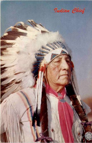 Indian Chief