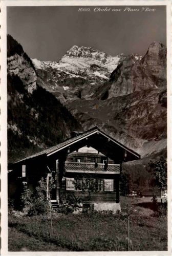 Chalet aux Plans sur Bex