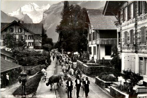 Wilderswil - Alpabzug