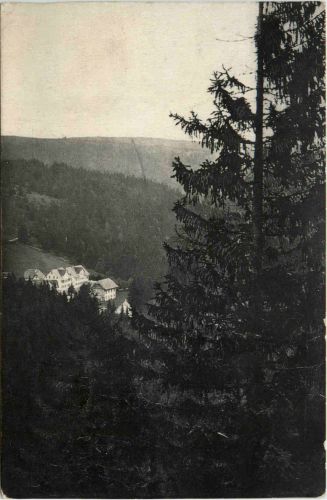 Ruhestein - Schwarzwald