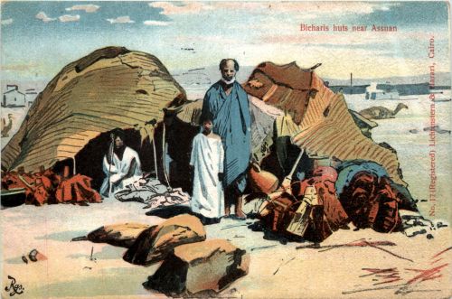 Bicharis huts near Assuan