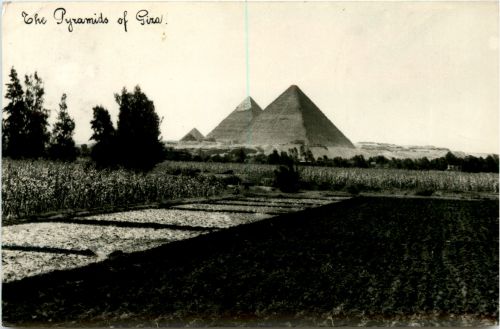 The Pyramids of Giza