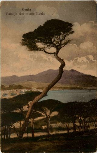 Centa - Paisaje del monte Hacho