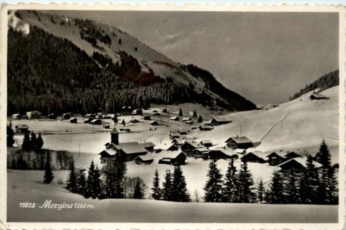 Morgins