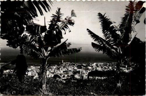 Santa Cruz de Tenerife