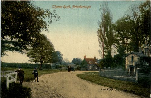 Peterborough - Thorpe Road