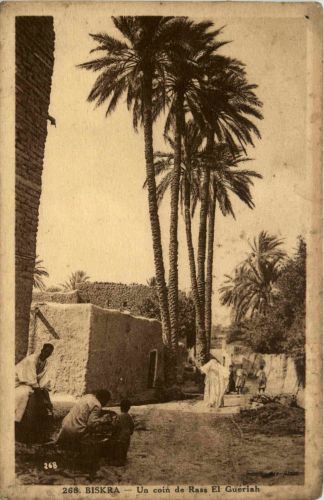 Biskra, Un coin de Rass, El Gueriah