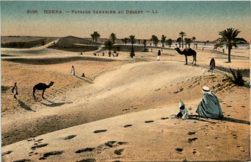 Biskra, Paysage Saharien au Desert