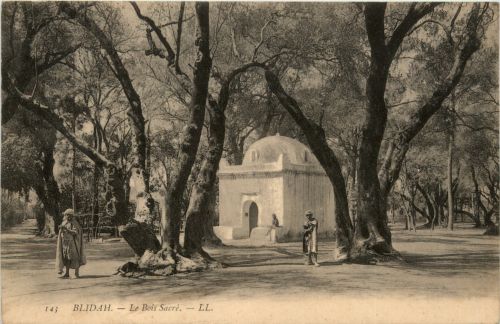 Blida, Le Bois Sacre