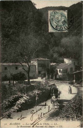 Blida, Les Gorges de la Chiffa , Le Restaurant du Ruisseau des Singes
