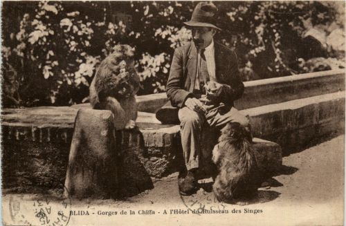 Blida, Gorges de la Chiffa, A L`Hotel du Ruisseau des Singes