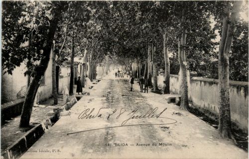 Blida, Avenue du Moulin