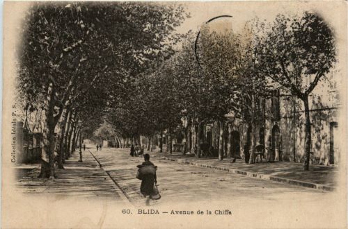 Blida, Avenue de la Chiffa