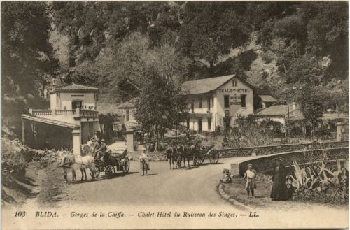 Blida, Gorges de la Chiffa, A L`Hotel du Ruisseau des Singes
