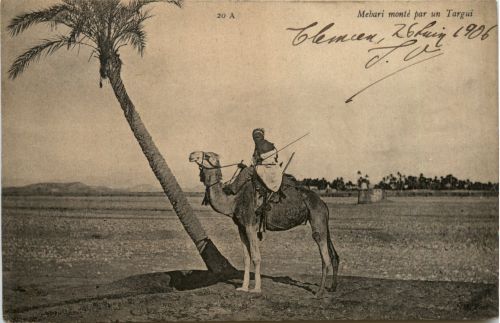 Algerien sonstige, Mehari monte par un Targui