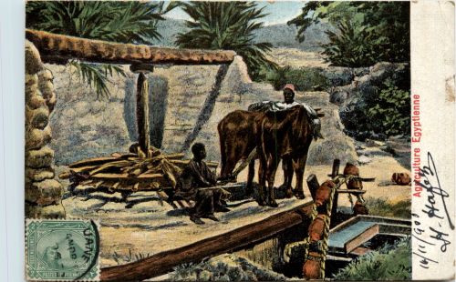 Egypt - Agriculture