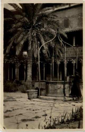 Palma de Mallorca - Claustro de San Francisco