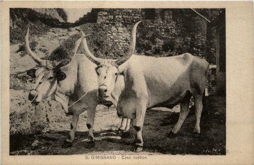 San Gimignano - Casa rustica