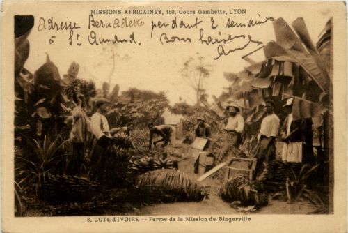 Cote d Ivoire - Ferme de la Mission de Bingerville