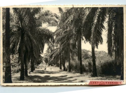 Kindu - Congo