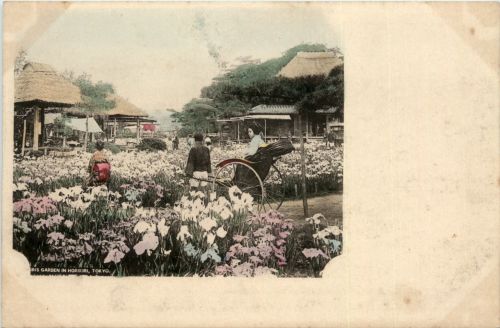 Tokyo - Garden in Horikiri