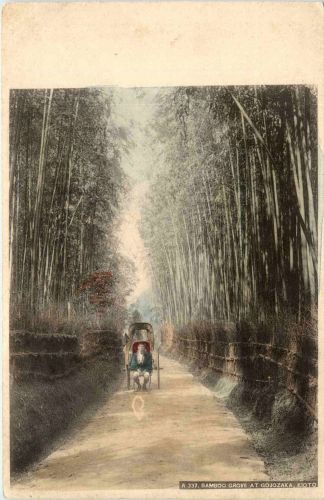 Kioto - Bamboo Grove