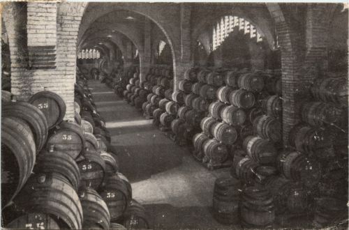 San Sadurni de Noya - Casa Codorniu - Wine