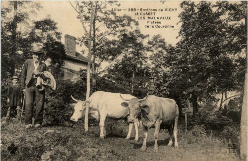 Environs de Vichy, et Cusset Les Malavaux, Plateau de la Couronne