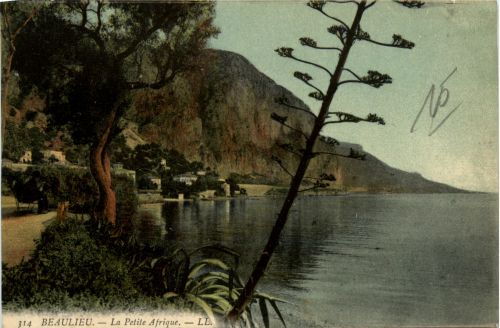 Beaulieu sur Mer, La Petite Afrique