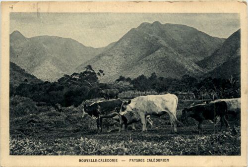 Nouvelle-Caledonie