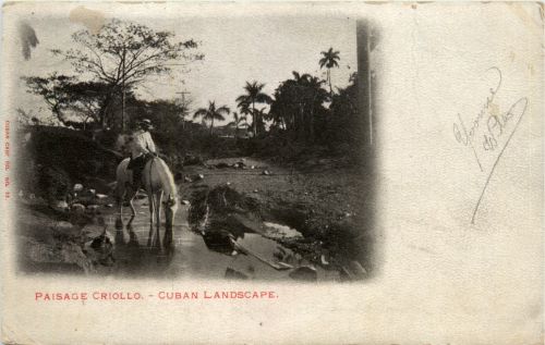 Cuba - Paisage Criollo