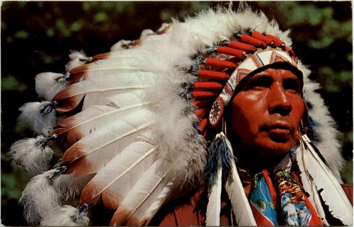 Indian Chief