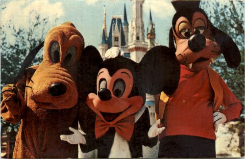 Disney World
