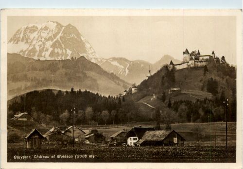 Gruyeres - Chateau et Moleson