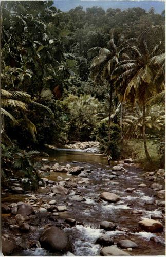 Saint Joseph Martinique