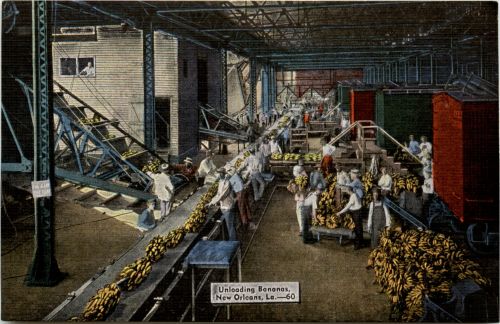 New Orleans - Unloading Bananas