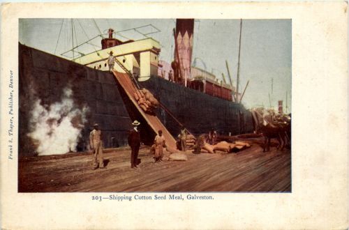 Galveston - Shipping Cotton Seed Meal