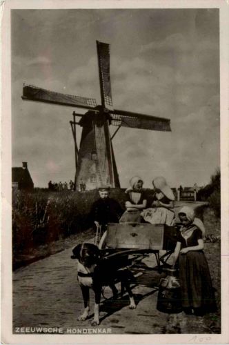 Zeeuwsche Hondenkar