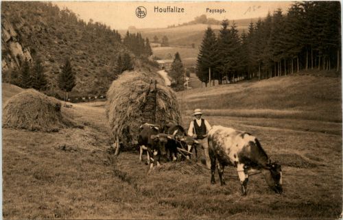 Houffalize - Paysage