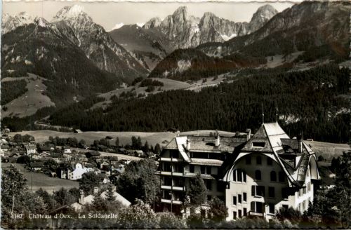 Chateau d Oex - La Soldanelle