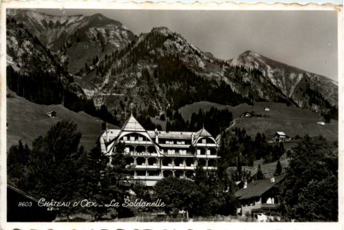 Chateau d Oex - La Soldanelle