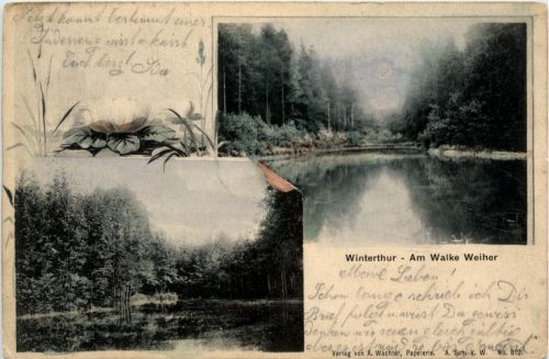 Winterthur - Am Walde Weiher